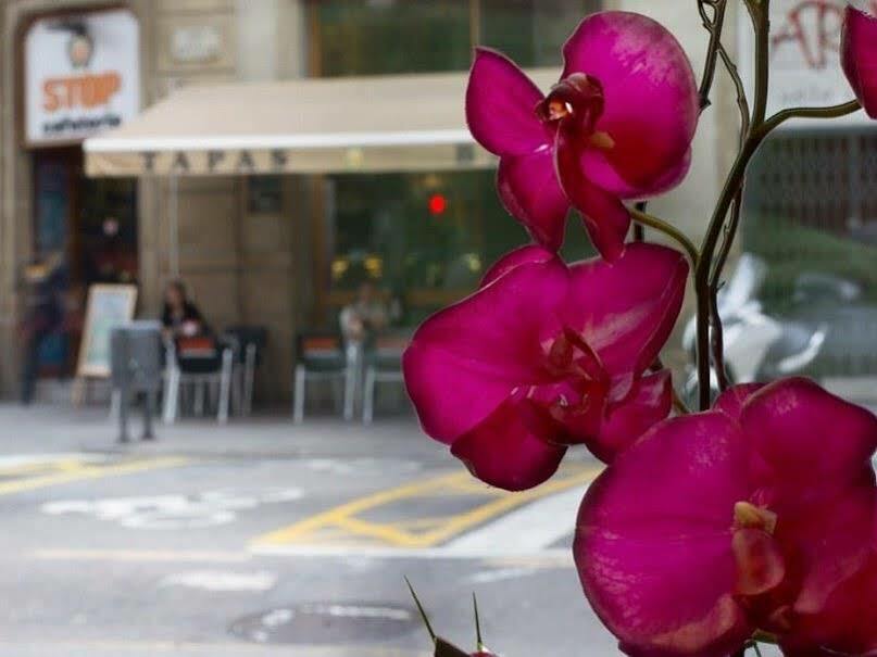 Hotel Sansi Barselona Dış mekan fotoğraf